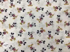 BW Druck 150